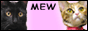 MEW & BERRY
